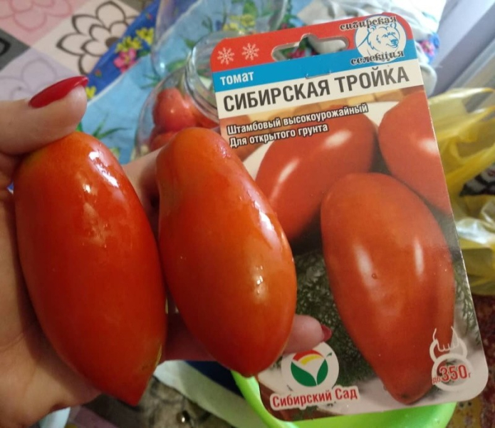 Для домашних заготовок отлично подходит томат Сибирская тройка