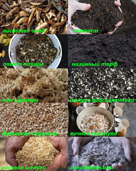 Приготовление плодородного качественного грунта для рассады в домашних условиях
