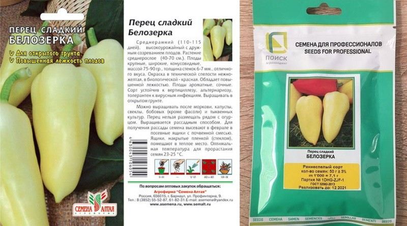 Советы по выращиванию высокоурожайного болгарского перца сорта Белозерка